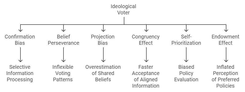 Diagram of cognitive biases influencing ideological voters, including confirmation bias, projection bias, and belief perseverance.